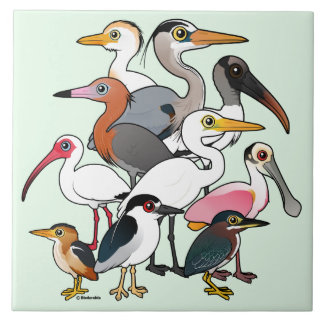 Azulejo Waders norteamericanos