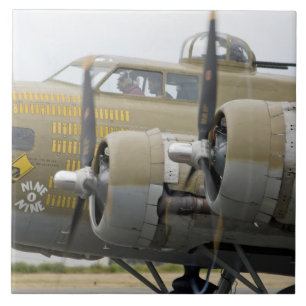 Azulejo Washington, Olympia, airshow militar. 2