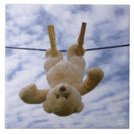 Azulejo Waslijn met knuffelbeer die hangt te drogen.