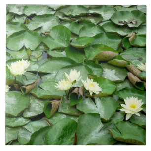 Azulejo Water Lilies