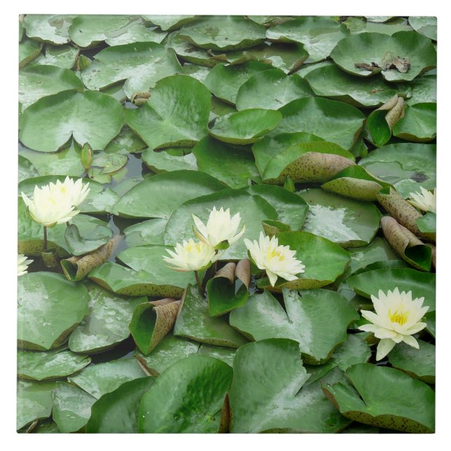 Azulejo Water Lilies (Frente)