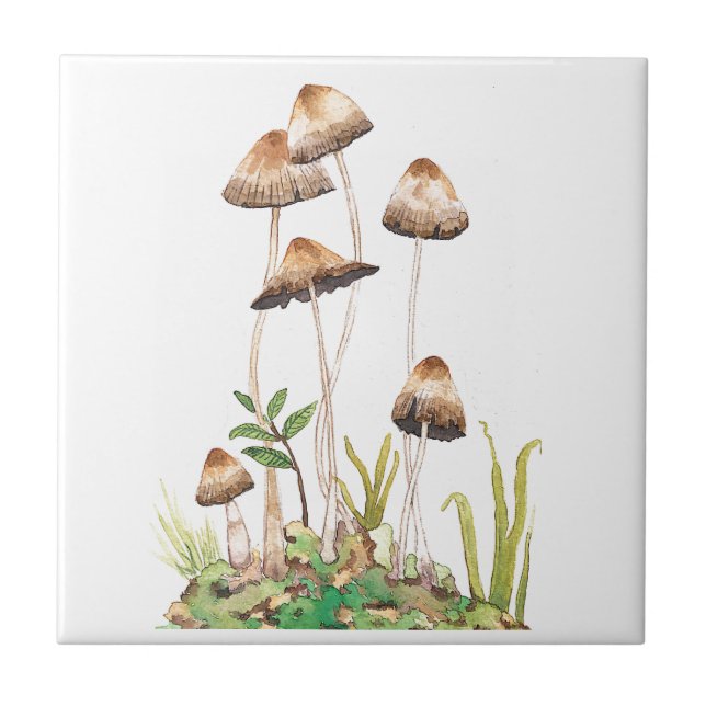 Azulejo Watercolor Brown Forest Mushrooms (Frente)