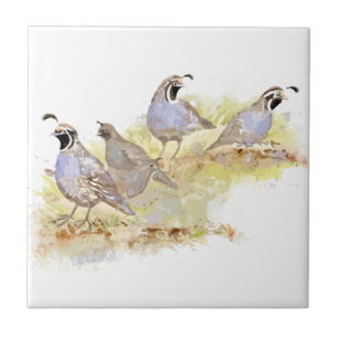 Azulejo Watercolor California Quail Bird Nature Art
