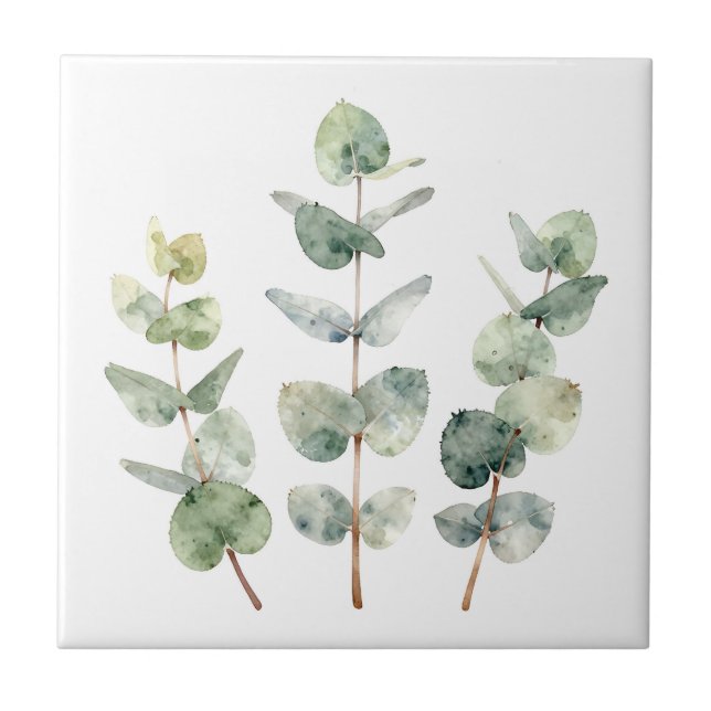 Azulejo Watercolor Eucalyptus Leaves Botanical (Frente)