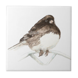 Azulejo Watercolor Junco Bird arte