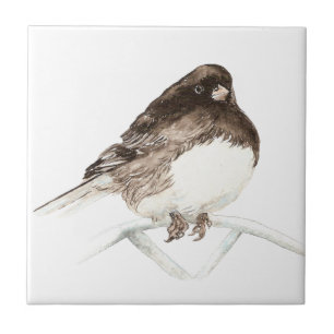Azulejo Watercolor Junco Bird arte