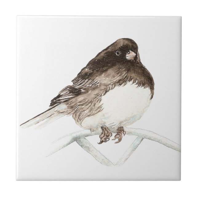 Azulejo Watercolor Junco Bird arte (Frente)