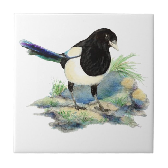 Azulejo Watercolor Magpie Bird Willife Art (Frente)