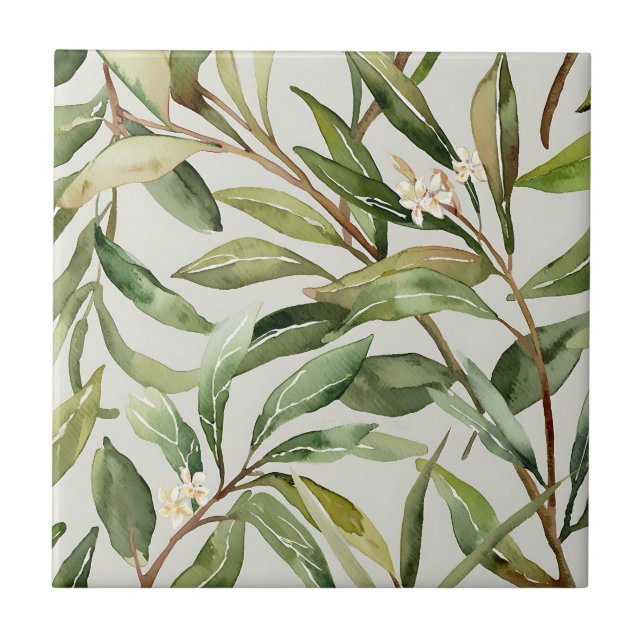 Azulejo Watercolor Olive Branches Botanical (Frente)
