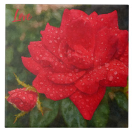 Azulejo Watercolor Rose