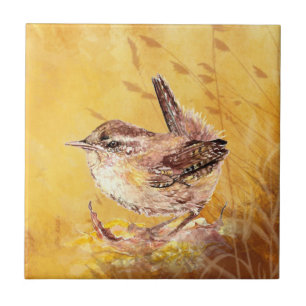 Azulejo Watercolor Wren Bird Wildlife Art