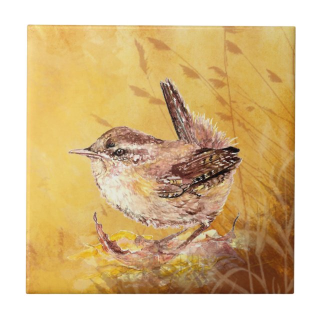 Azulejo Watercolor Wren Bird Wildlife Art (Frente)