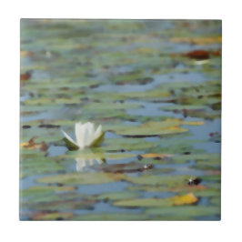 Azulejo Waterlily Lake Flower Watercolor Cerámica Tile
