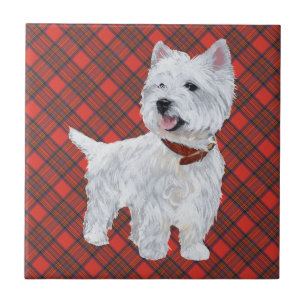 Azulejo Westie on Tartan TILE