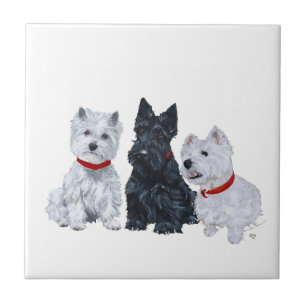 Azulejo Westies y un Scottie Juntos