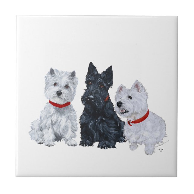 Azulejo Westies y un Scottie Juntos (Frente)