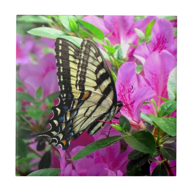 Azulejo Whimsy Art Tile (Frente)