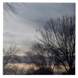 Azulejo Whispers of Winter