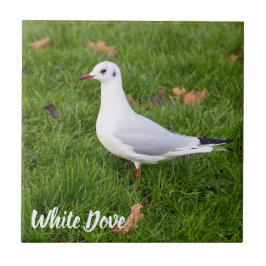 Azulejo White Dove para regalo de pájaro y amante de la pa
