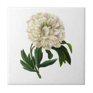Azulejo White Peony De Pierre Joseph Redoute
