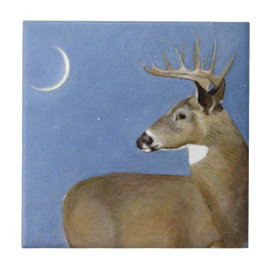 Azulejo White Tail Buck