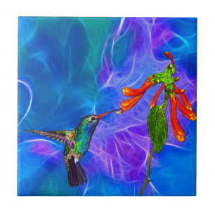 Azulejo Wild Hummingbird
