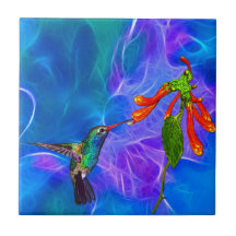 Wild Hummingbird