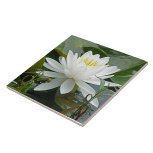 Azulejo Wildflower blanco de Waterlily