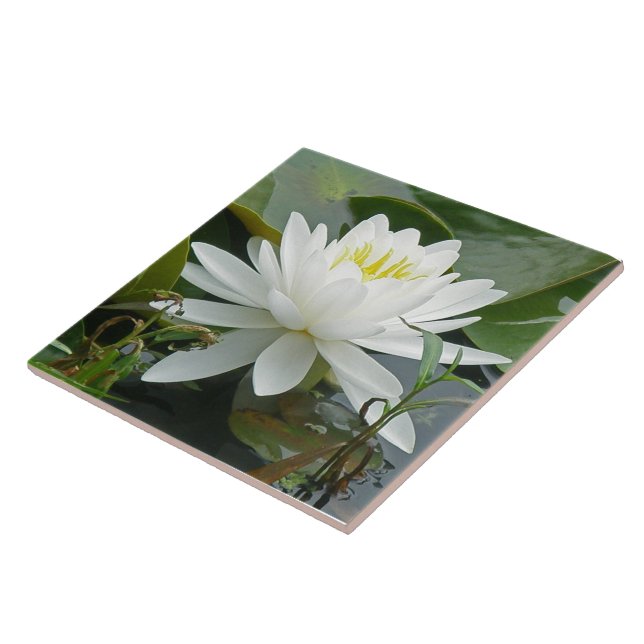 Azulejo Wildflower blanco de Waterlily (Lado)