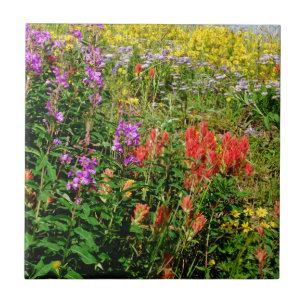 Azulejo Wildflowers de la montaña rocosa