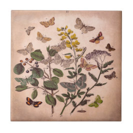 Azulejo Wildflowers florales botánicos del ilustracion del