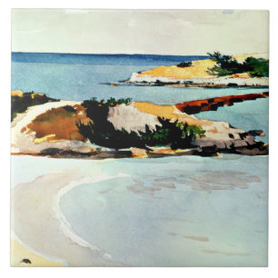 Azulejo Winslow Homer - Isla Gallow