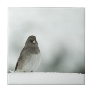 Azulejo Winter Bird