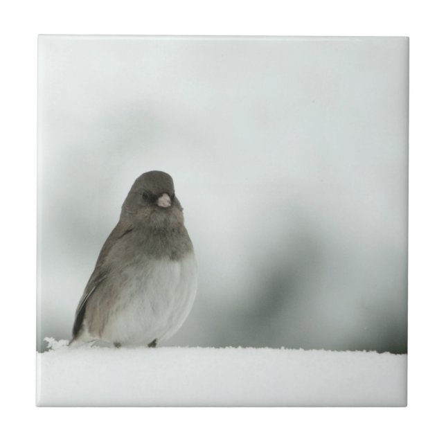 Azulejo Winter Bird (Frente)