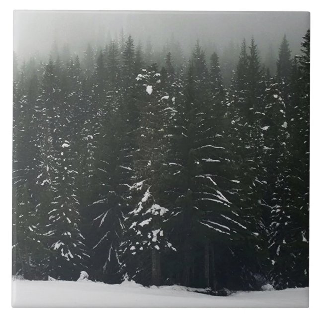 Azulejo Winter in the Mountain Forest (Frente)