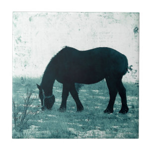 Azulejo Winter Percheron