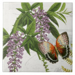 Azulejo Wisteria púrpura mariposa botánica 1<br><div class="desc">#1 de 5 imágenes de mosaico coordinadoras. Rica naranja, crema de óxido y mariposa negra y una glicinia lavender con flores y una mirada de frente de helecho sobre la ephemera de escritura de escritura de escritura de guiones collage e imágenes de publicidad de antigüedades sobre un suave fondo crema...</div>