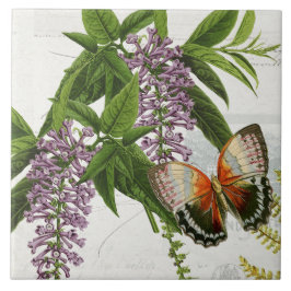 Azulejo Wisteria púrpura mariposa botánica 1