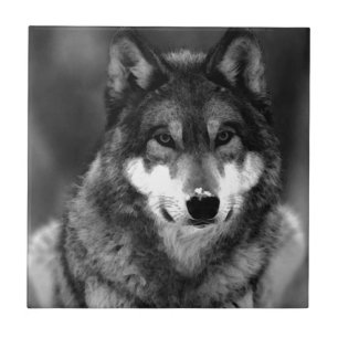 Azulejo Wolf
