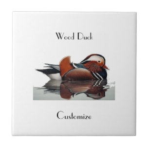 Azulejo Wood Duck Thunder_Cove
