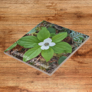 Azulejo Woodland Bunchberry Dogwood Floral