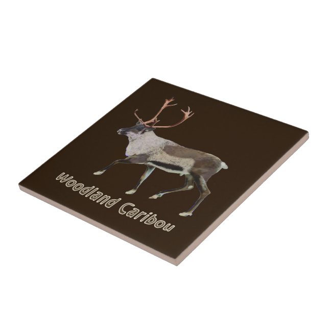 Azulejo Woodland Caribou (Lado)
