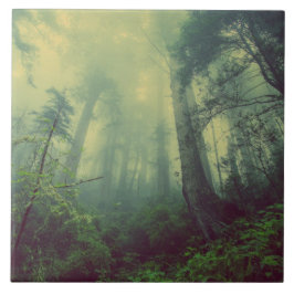 Azulejo Woodland desde abajo