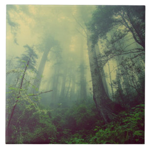 Azulejo Woodland desde abajo