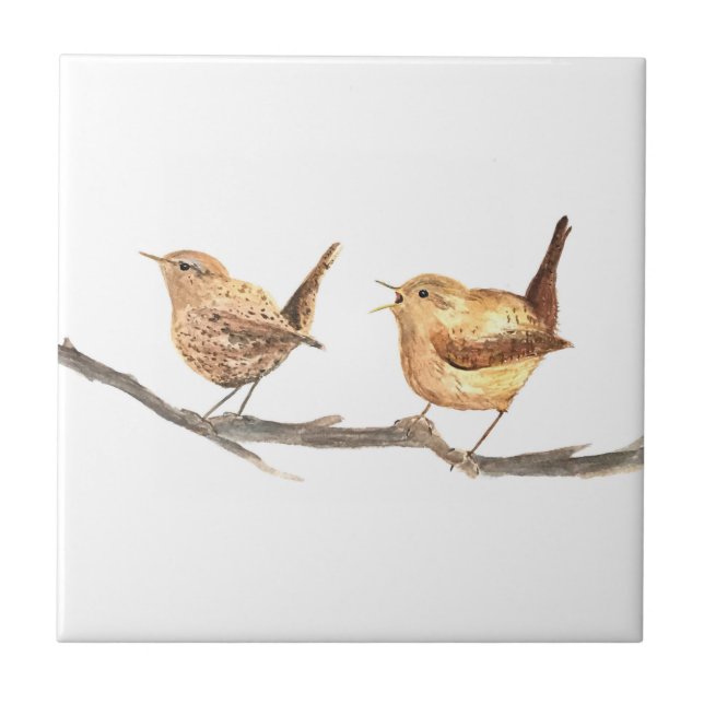 Azulejo Wren Bird Wildlife Watercolor (Frente)