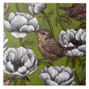 Azulejo Wrens en el jardín de anémona blanca