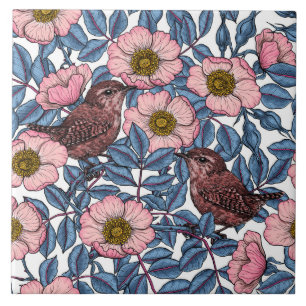 Azulejo Wrens en los rosas