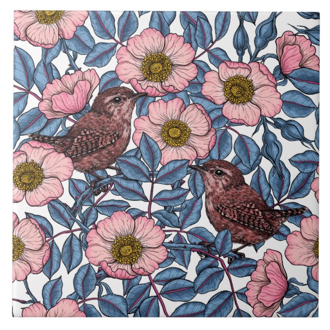 Azulejo Wrens en los rosas (Frente)