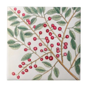 Azulejo Yapon Holly Berries, arte natural de la época de C