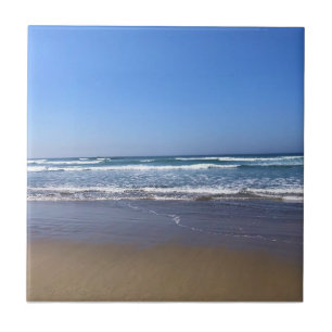 Azulejo Yaquina Bay State Recreation Site, Newport, Oregón